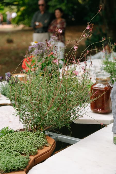 Live Kitchen — Francisca Sotto & Jeremy Morris